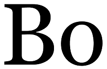 Bo Logo